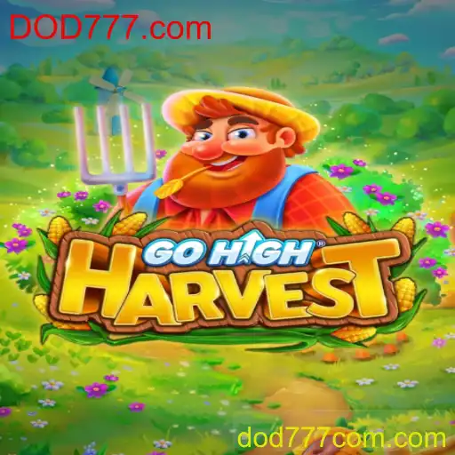 Explorando o Mundo de GoHighHarvest: Uma Aventura Inovadora
